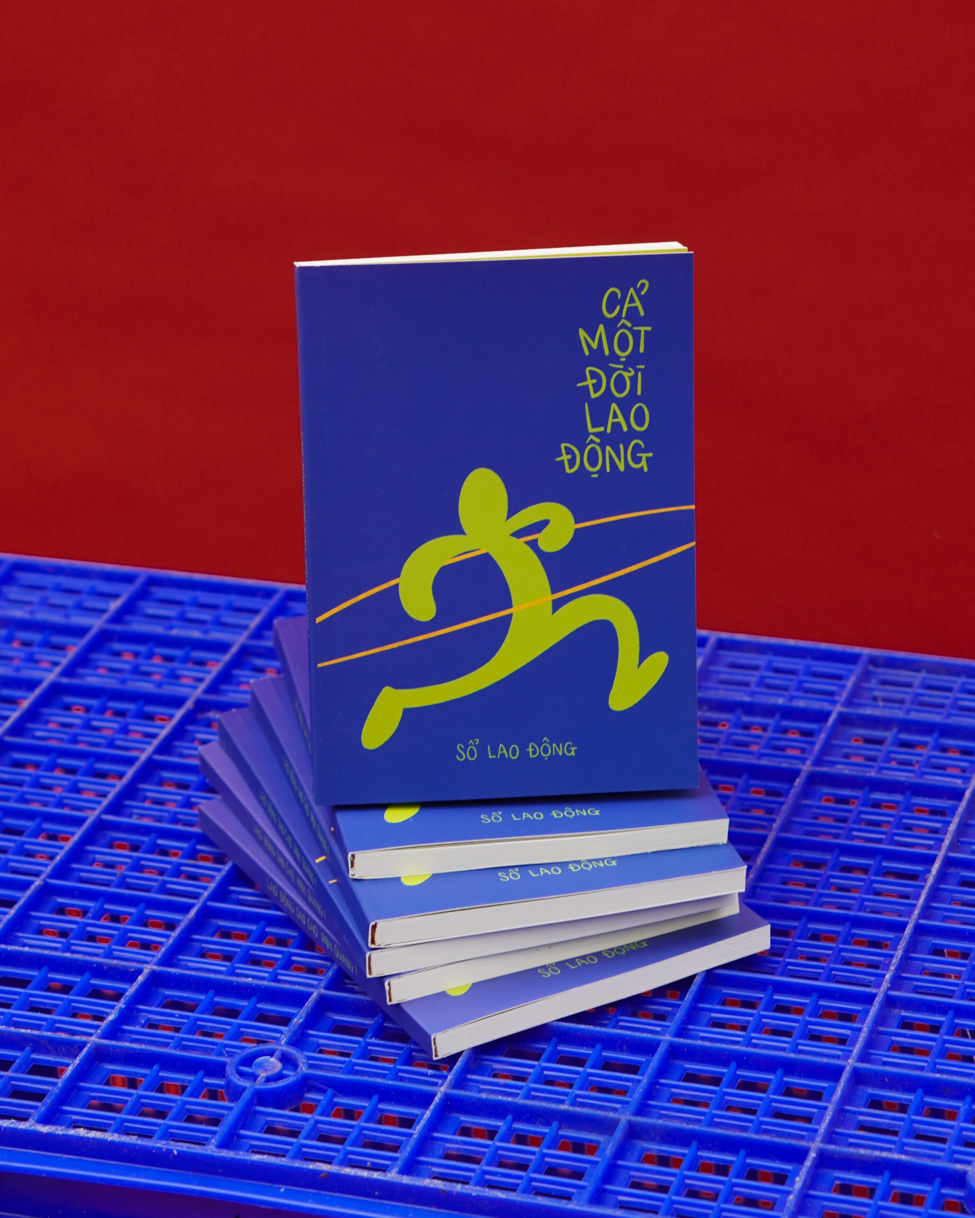 BST Sổ Căn Bản — ảnh 7