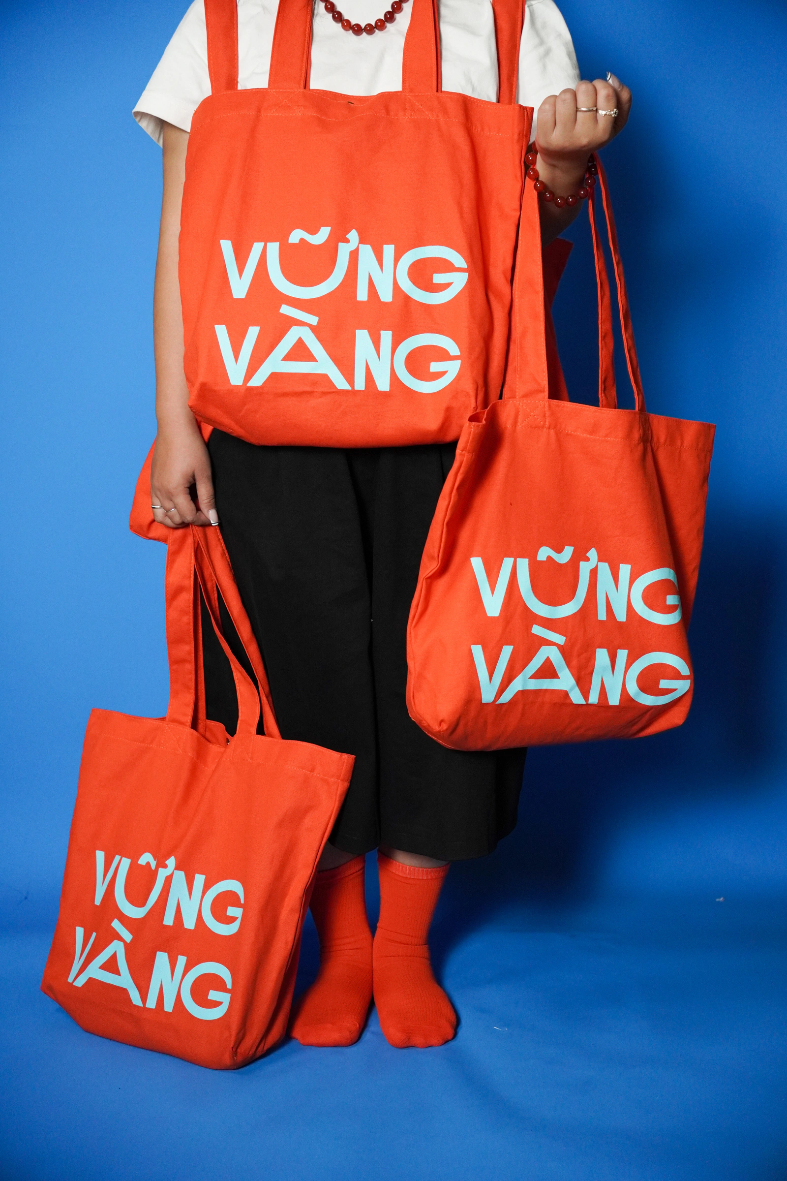 Túi Vững Vàng — ảnh 2