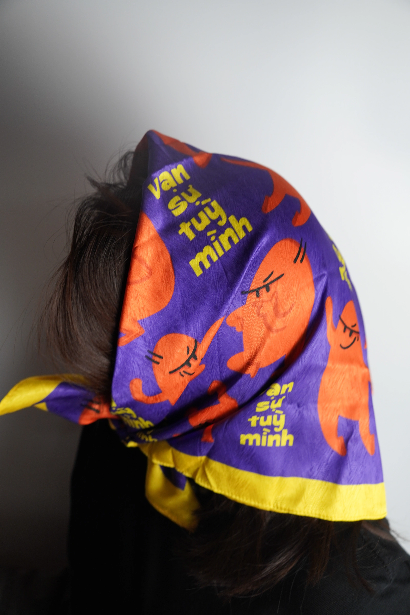 Bandana Vạn Sự Tuỳ Mình — ảnh 2