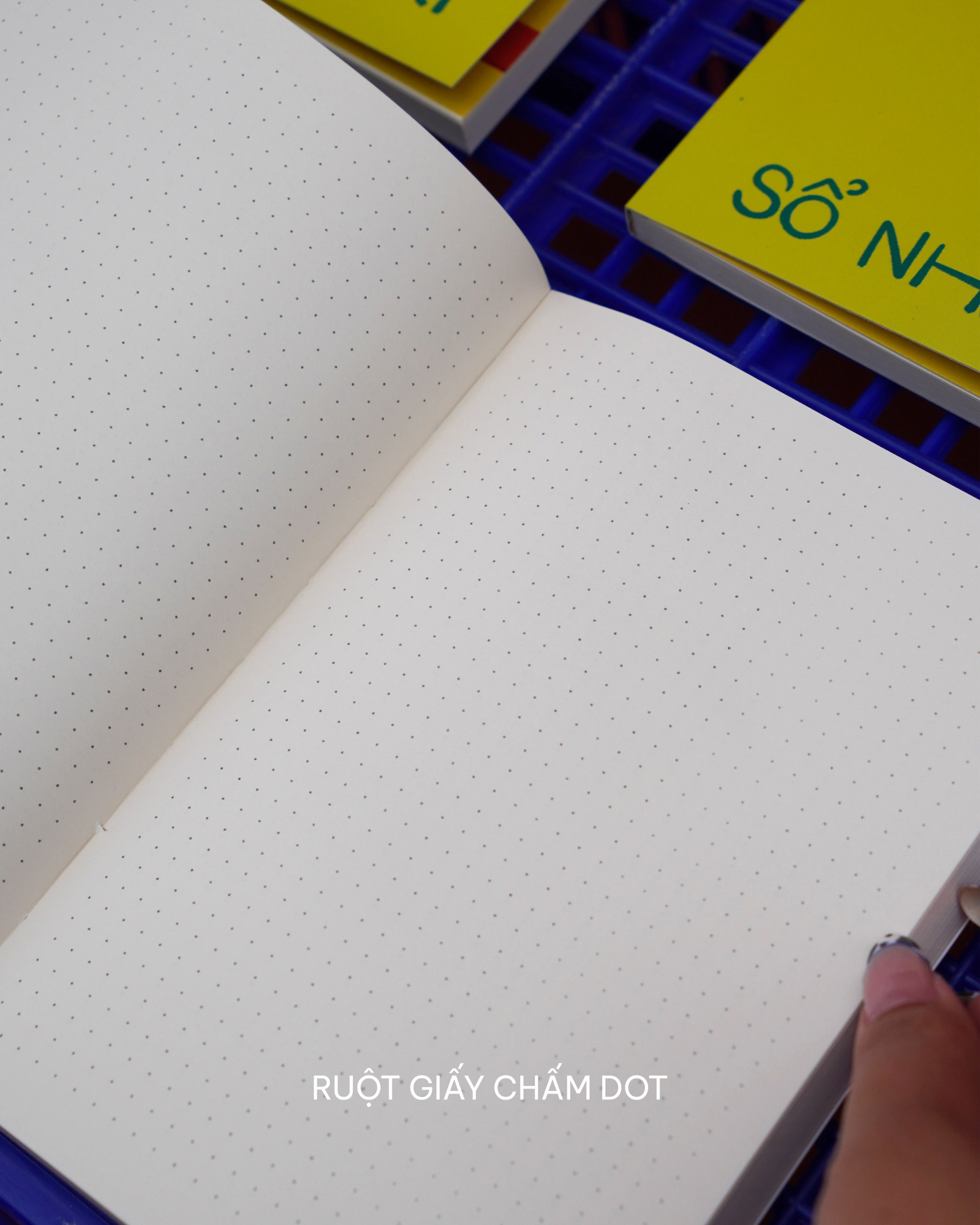 Sổ Nhật Ký — ảnh 7